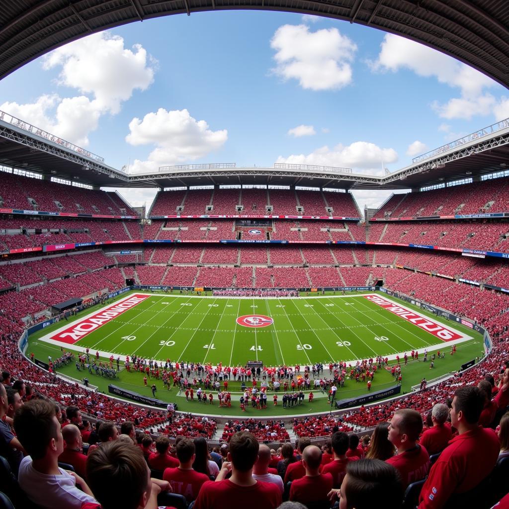 Alabama vs Georgia Championship Game