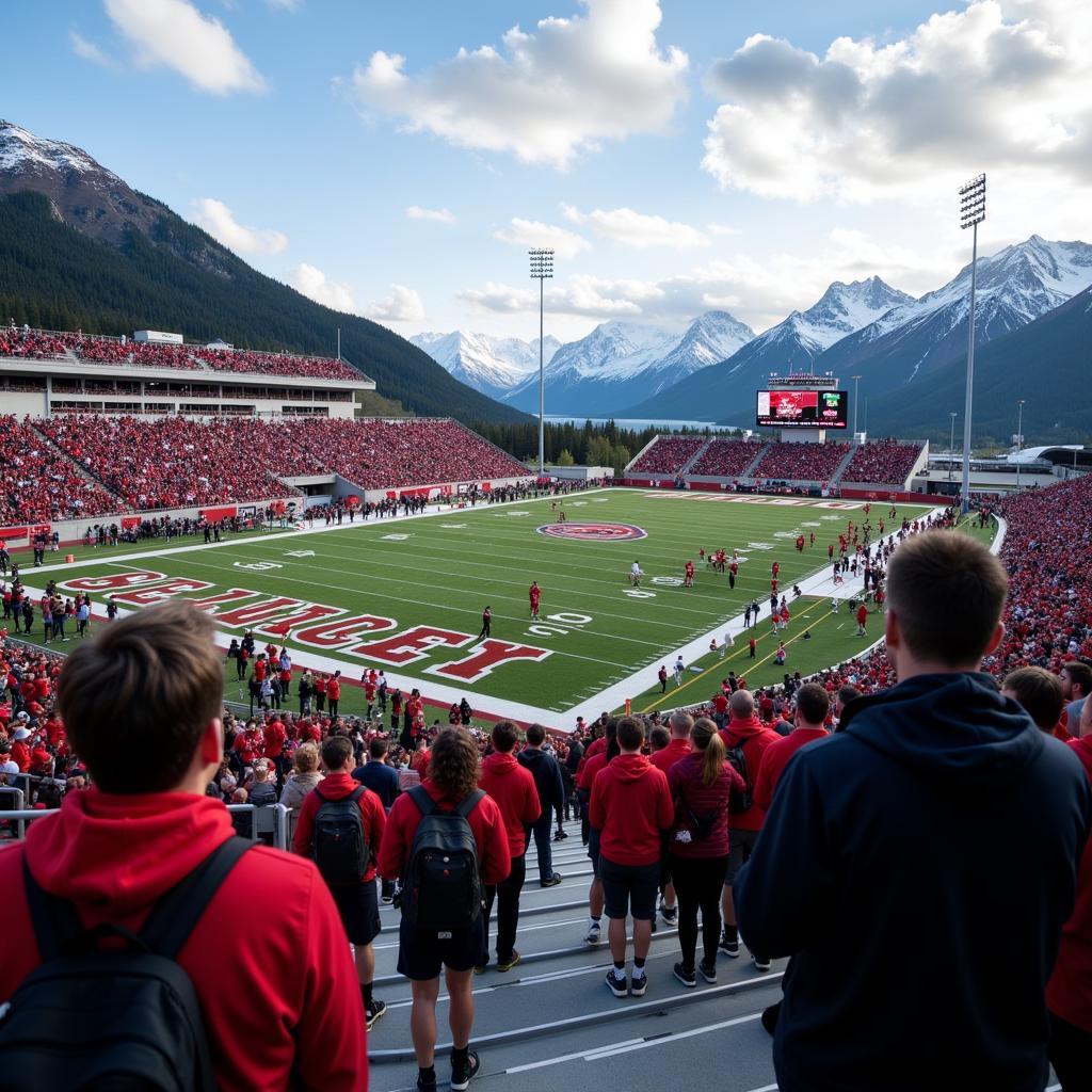 Alaska High School Football Action