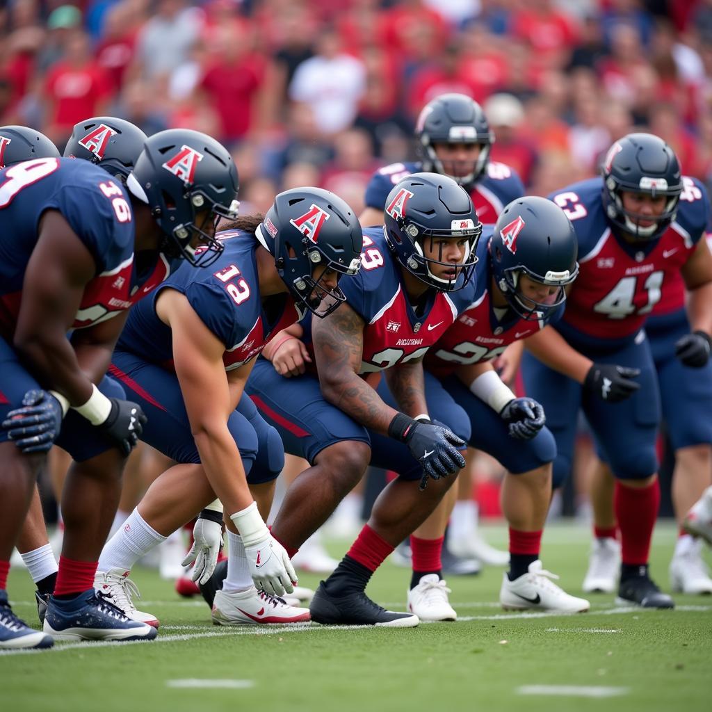 Đội hình Arizona Wildcats