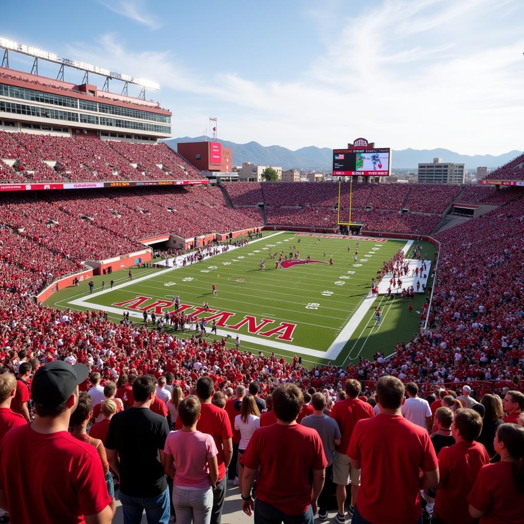 Arizona Wildcats Football Live Action