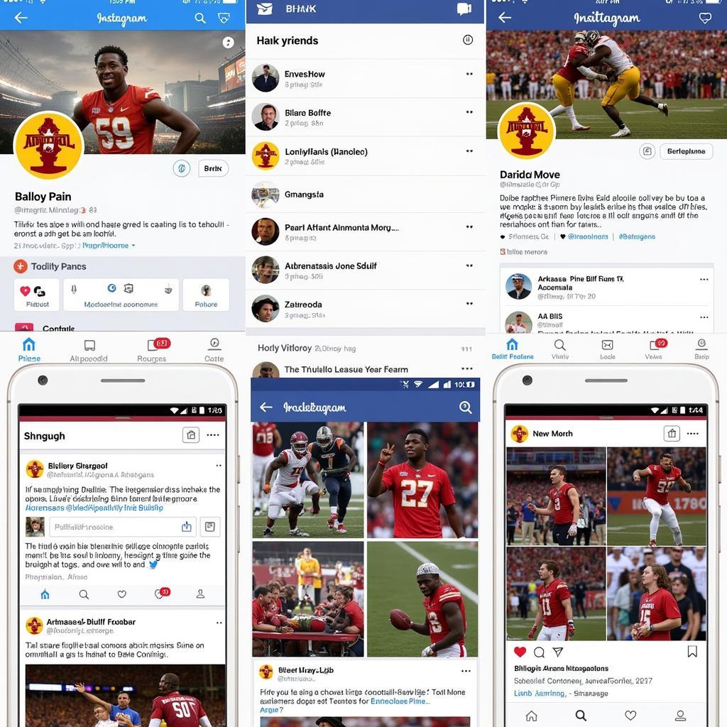 Arkansas-Pine Bluff Football Social Media