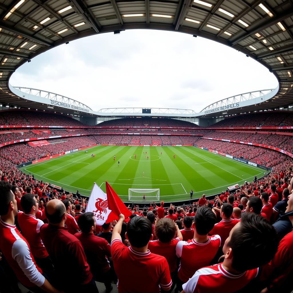 Arsenal vs Liverpool Live Stadium Atmosphere