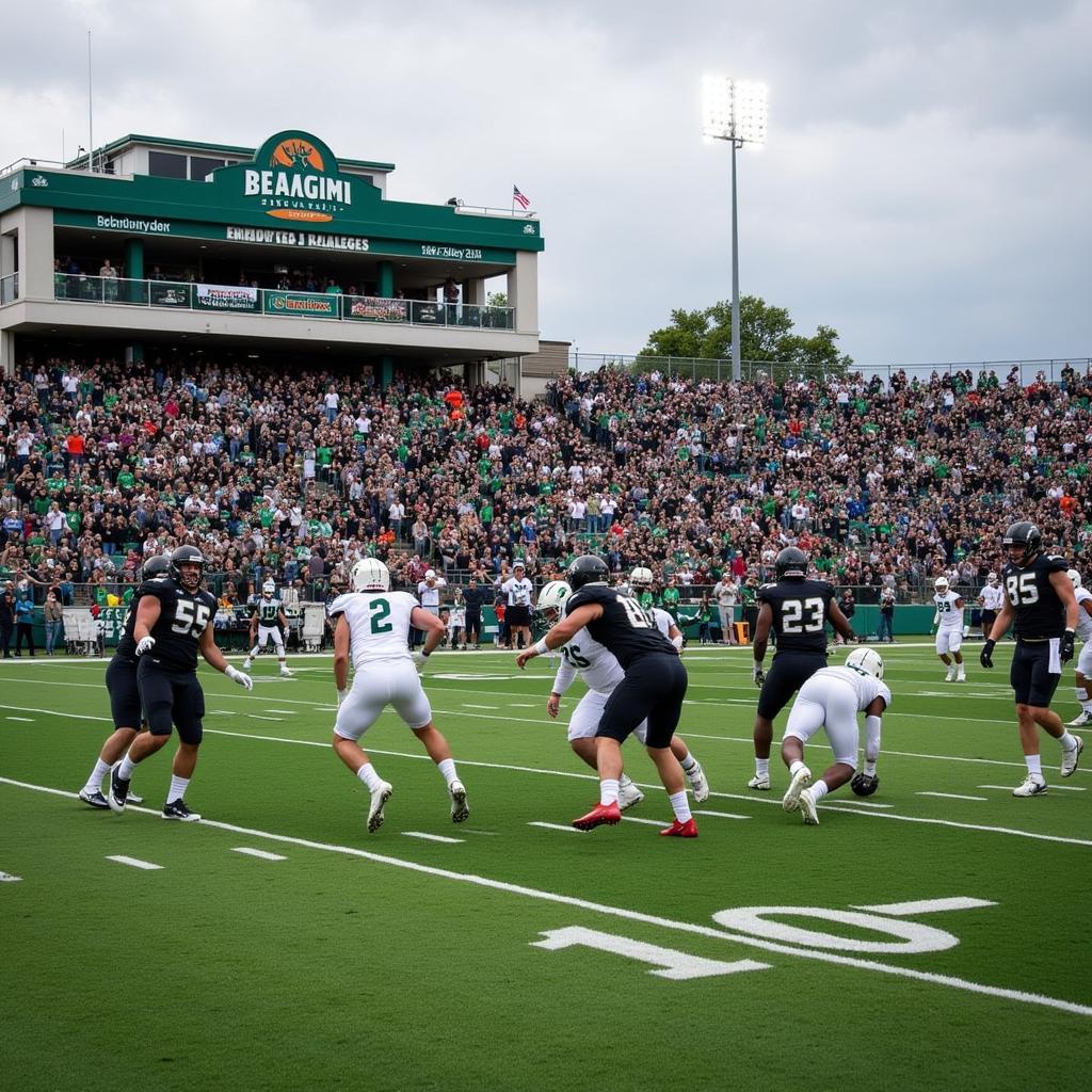 Bemidji State Football in Action