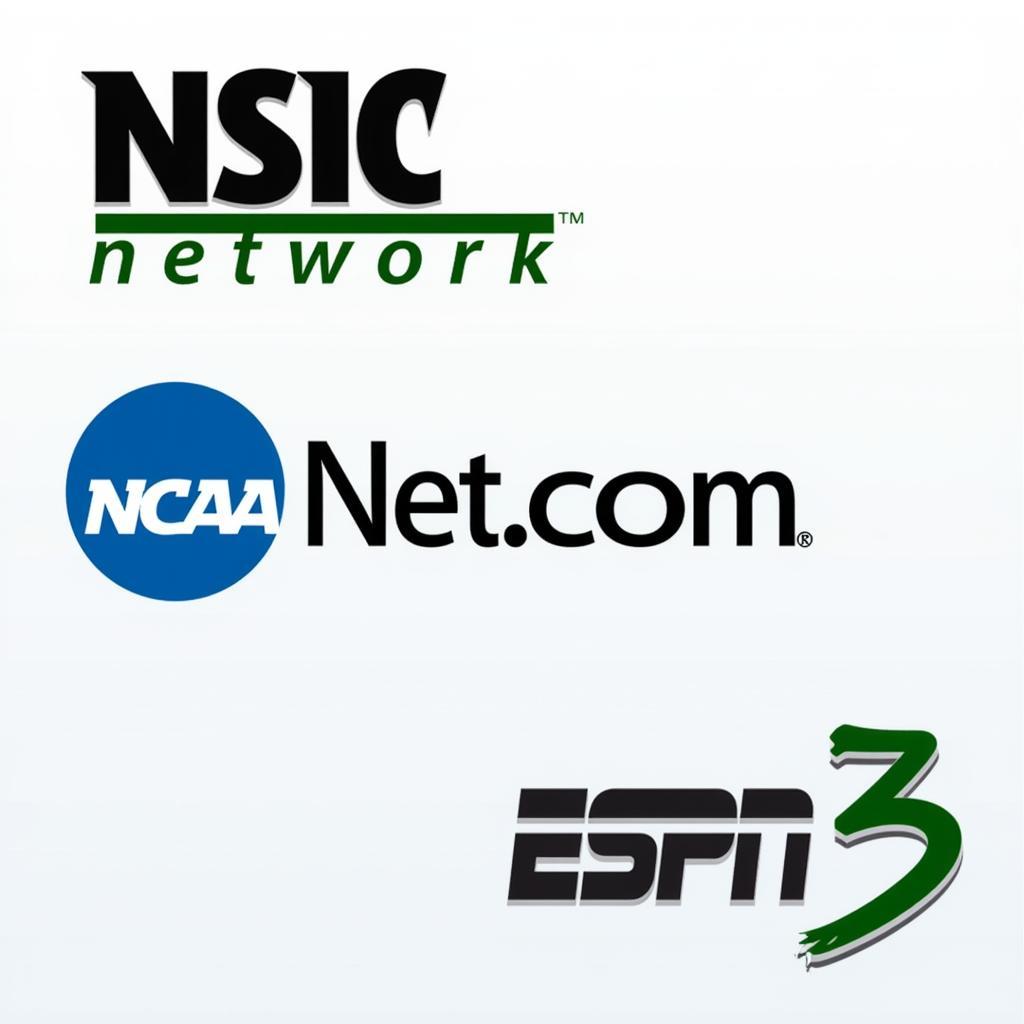 Various Options for Bemidji State Football Live Streaming