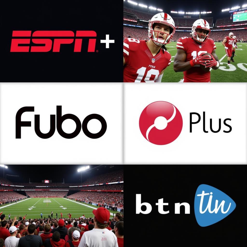 Streaming Platforms for Big Ten Football