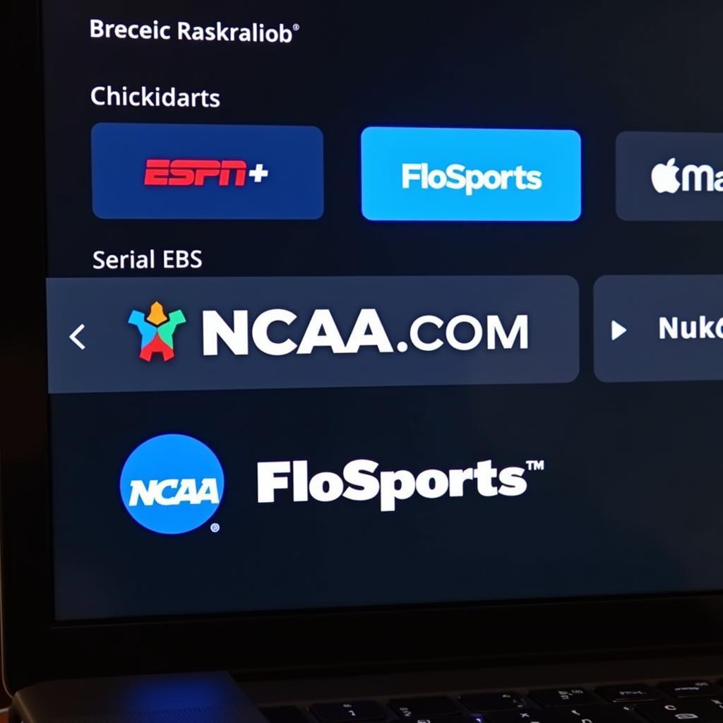 Blue Hens Football Streaming Platforms