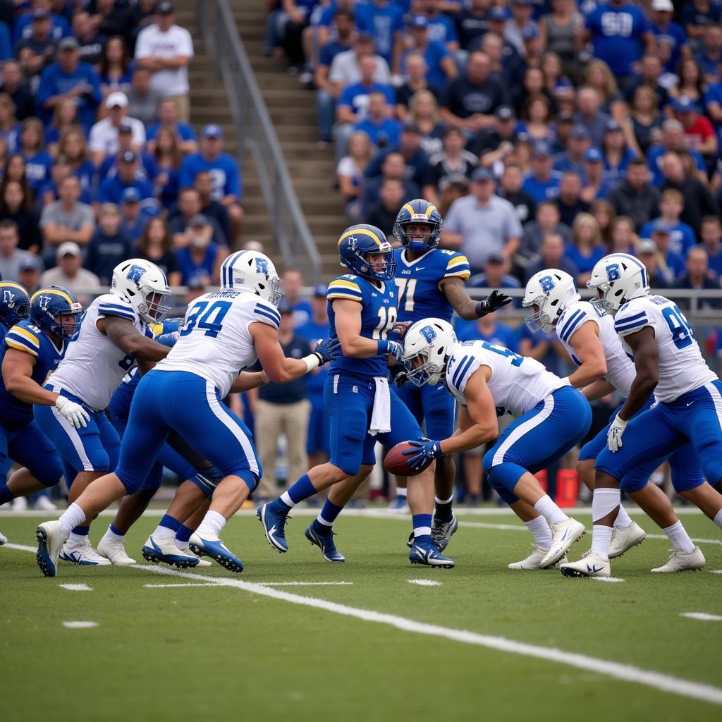 Blue Springs Wildcats in Action