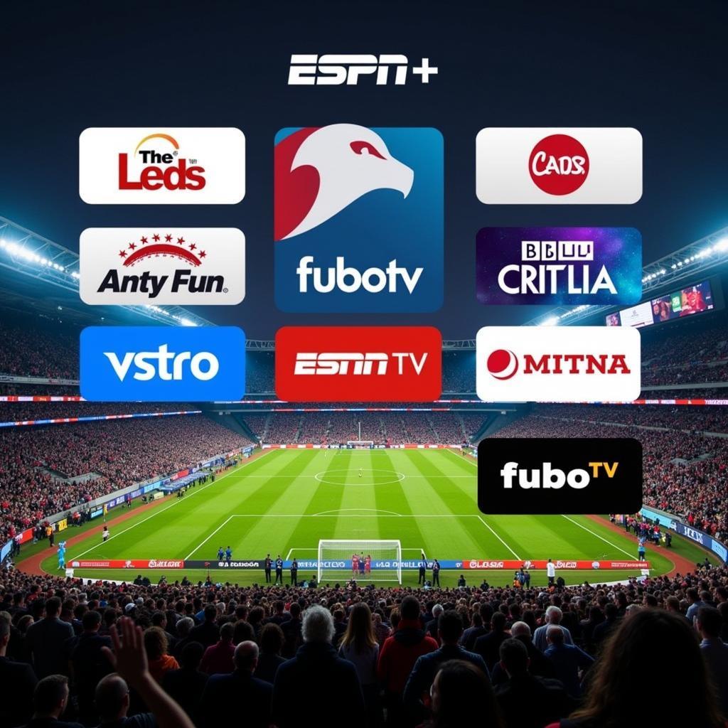 Top Websites to Watch Football Online