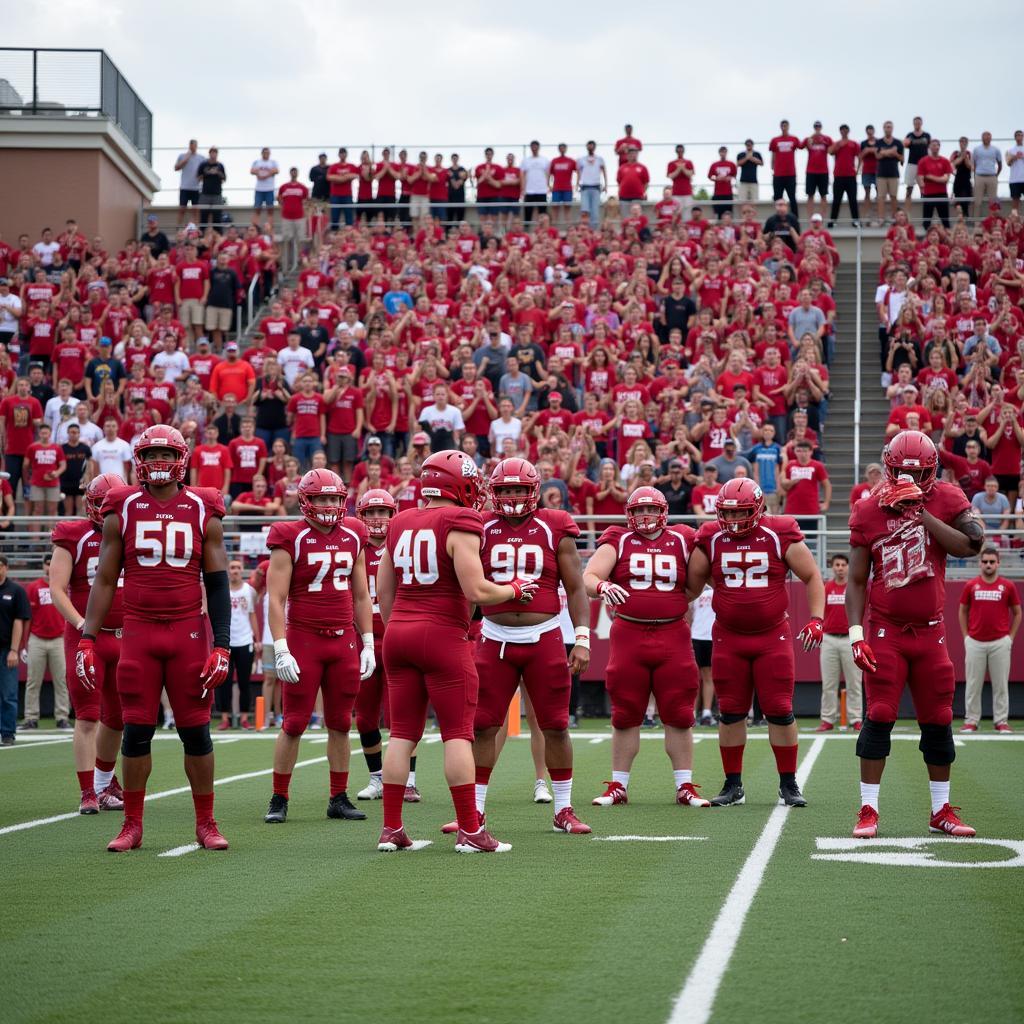 Canfield High School Football Team