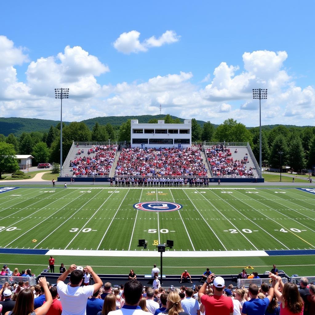 Sân vận động Cartersville High School