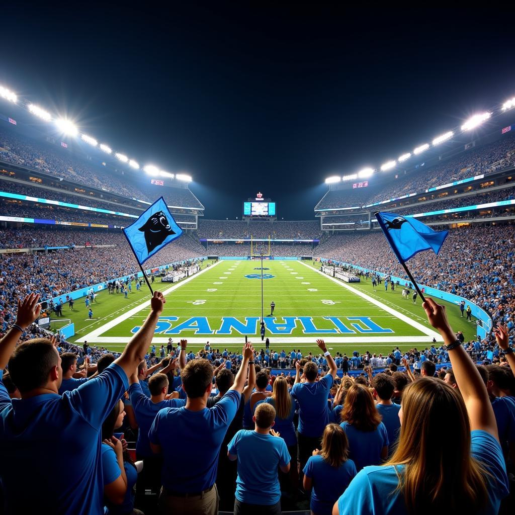 Carolina Panthers fans cheering in the stadium