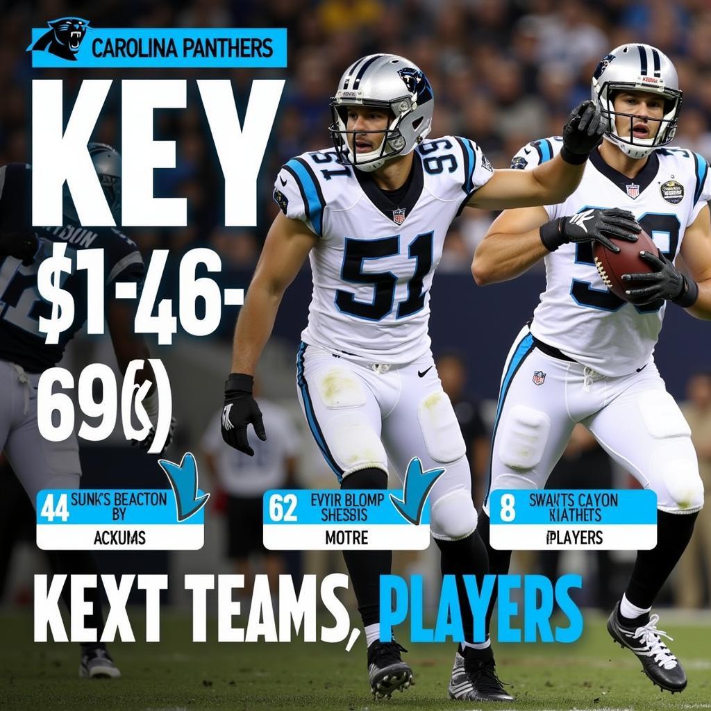 Carolina Panthers Key Players in Action