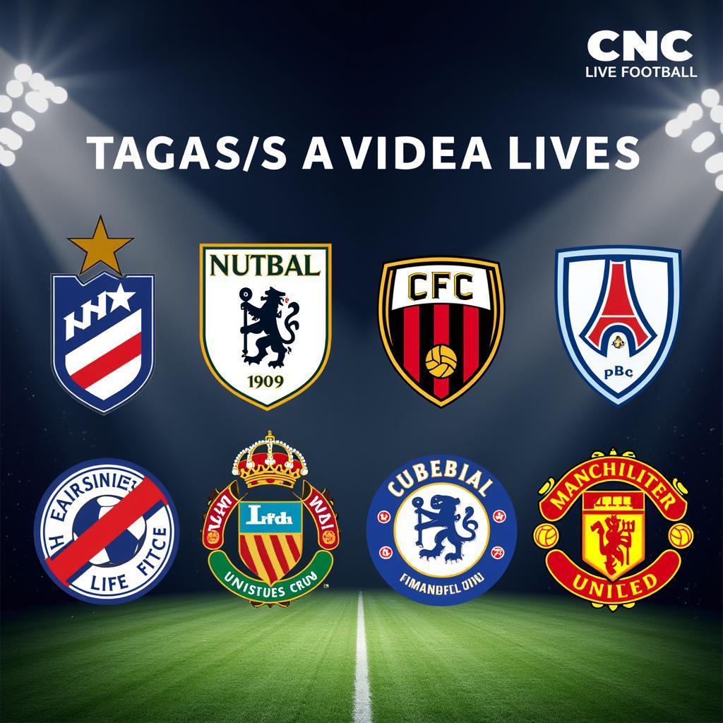 cnc live football trực tiếp các giải đấu