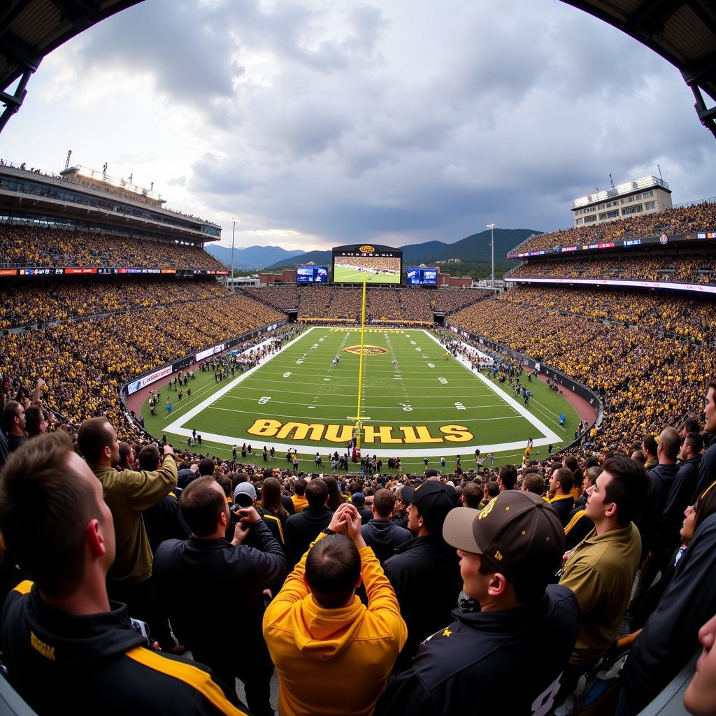 Colorado Buffaloes Fans Cheering