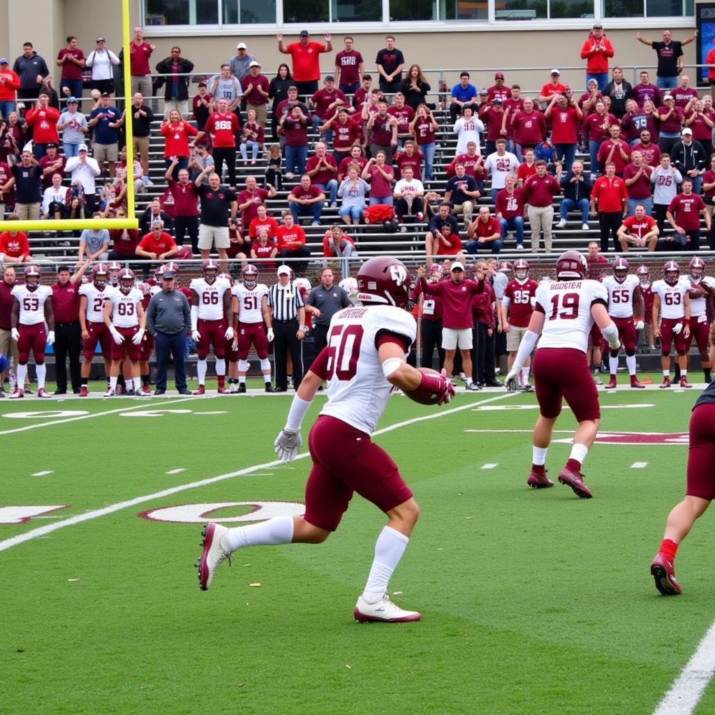 Concordia Chicago Cougars football game in progress