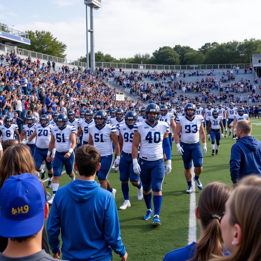 Culver Stockton Wildcats game day action