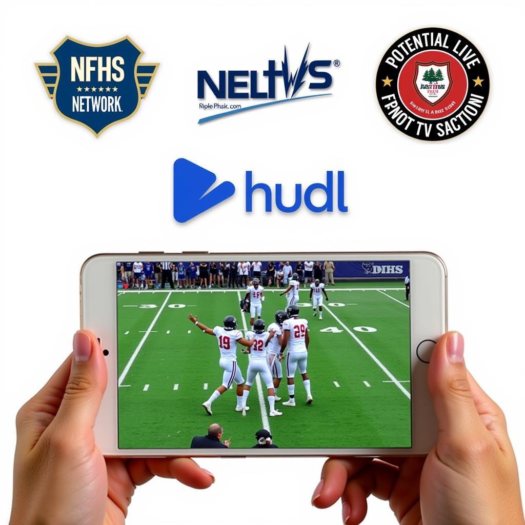 Deer Lakes Football Alternative Streaming Options