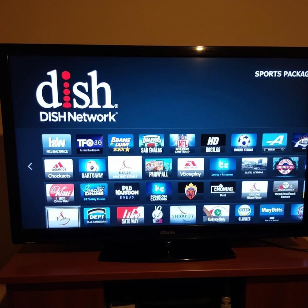 DISH Network Sports Package