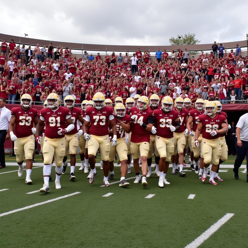 Dripping Springs Football Players on Field