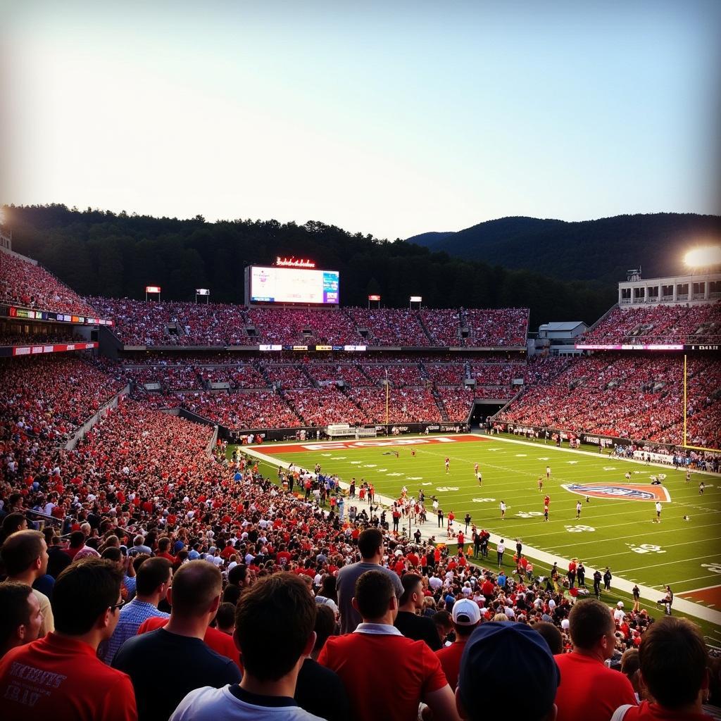 East Stroudsburg Football Game in Action