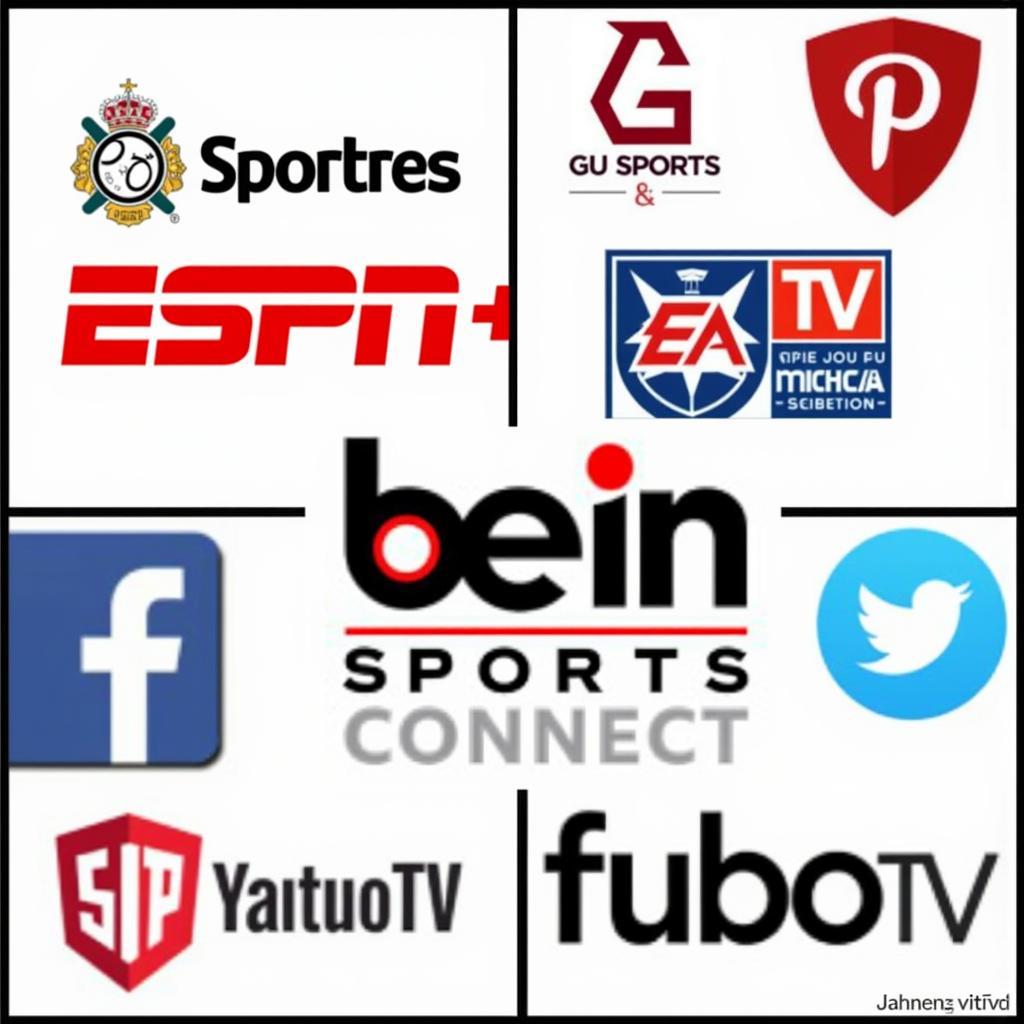 Live Streaming Platforms for Egypt vs UAE Football Match