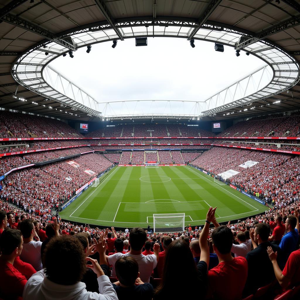 England football fans celebrating a goal