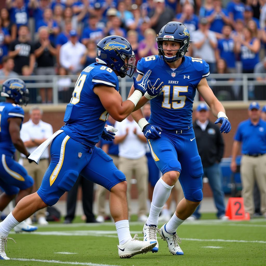 Etowah Eagles Football Game