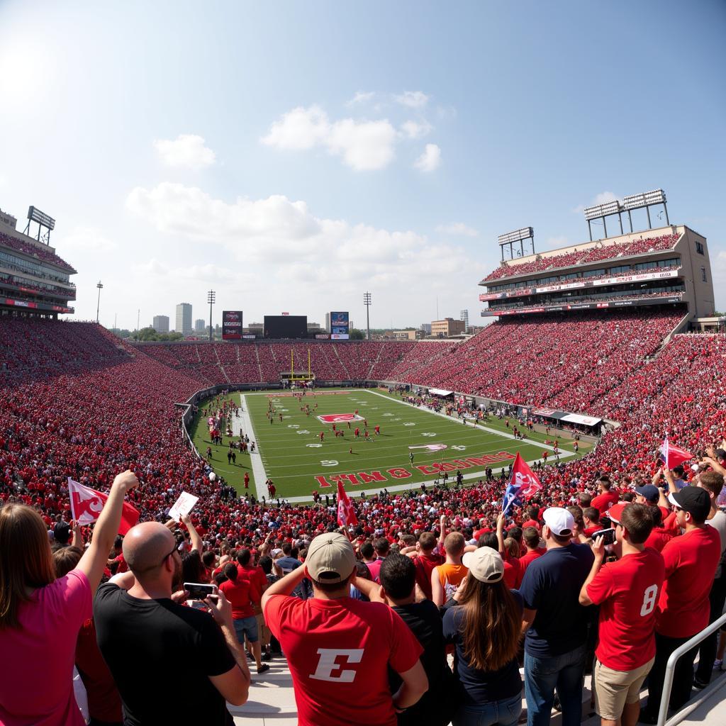 Fans Cheering at a Cincinnati Elder Football Game