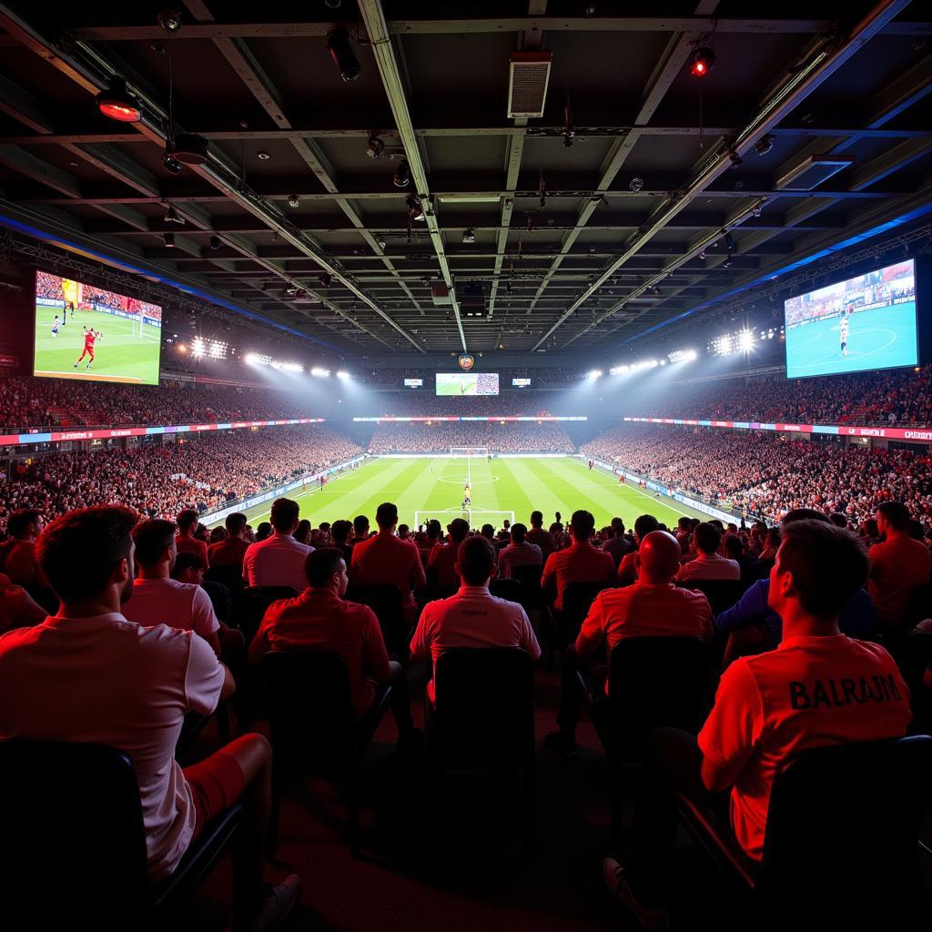 Football Fans Watching Belgium vs France Match