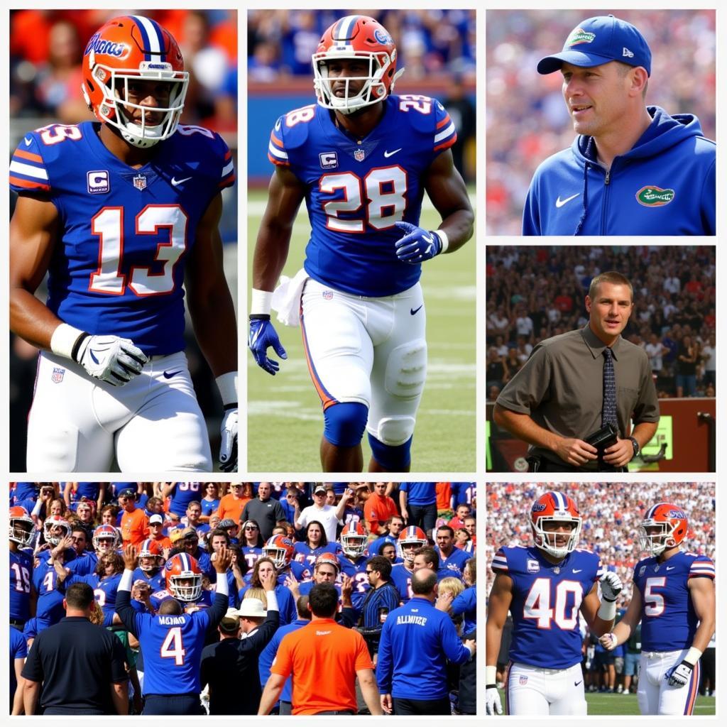 Florida Gators Football News