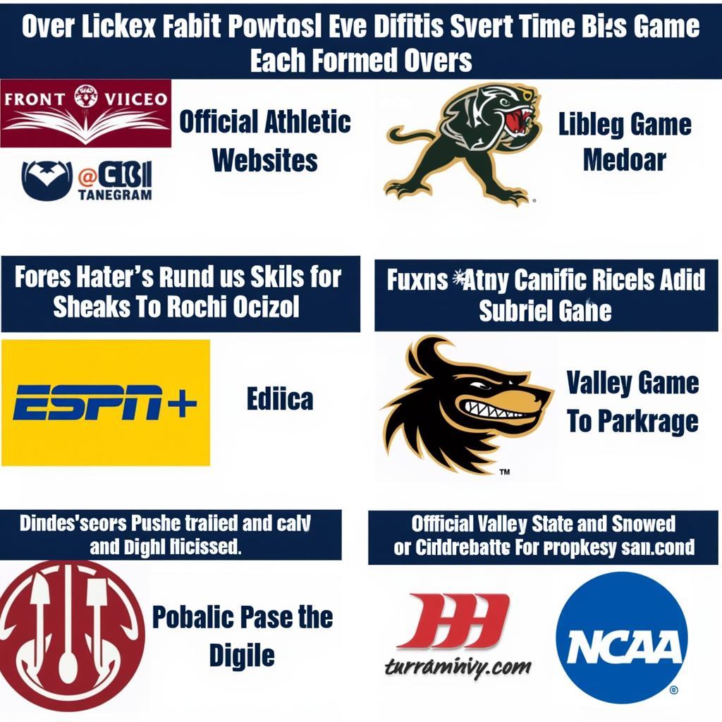 Fort Valley State Football Live Streaming Platforms