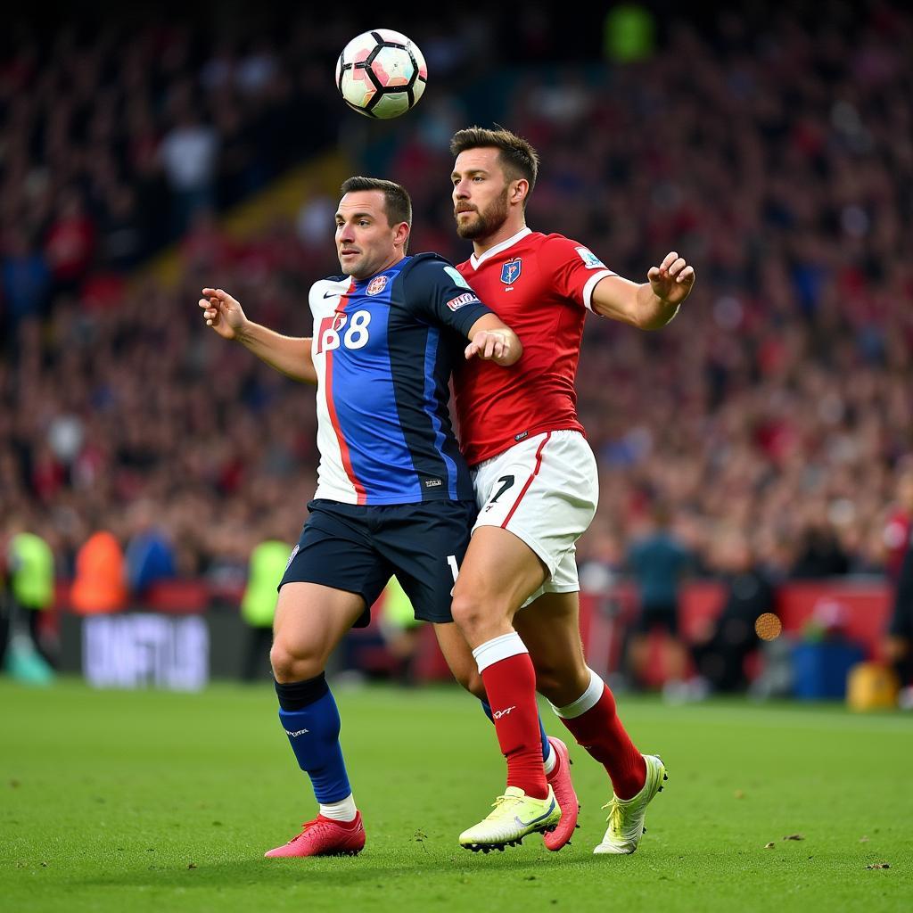 France v Wales Football Match