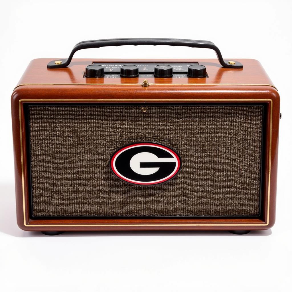 Georgia Football Radio Broadcast