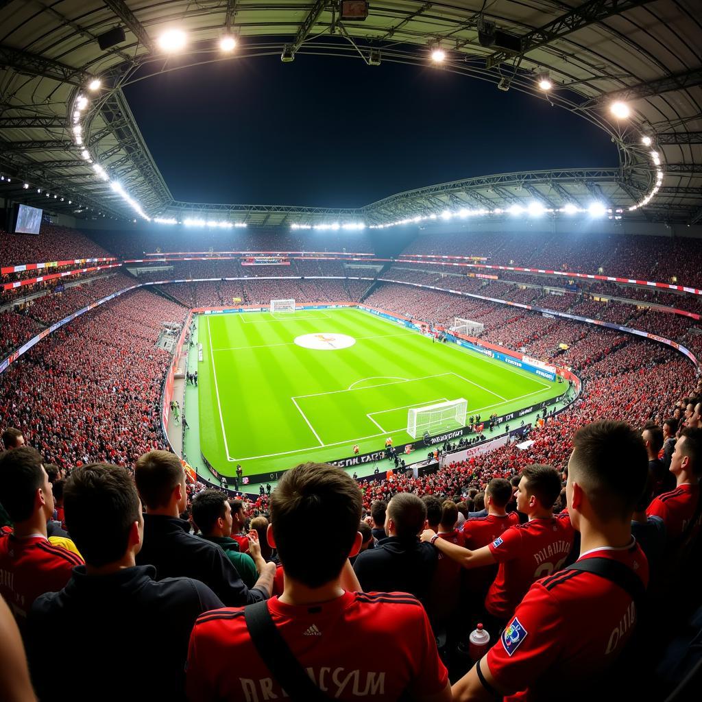 German football stadium crowd