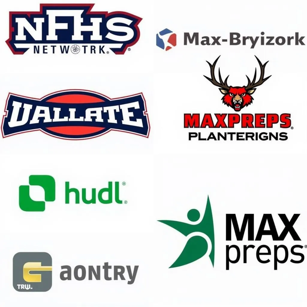 High School Sports Streaming Platforms