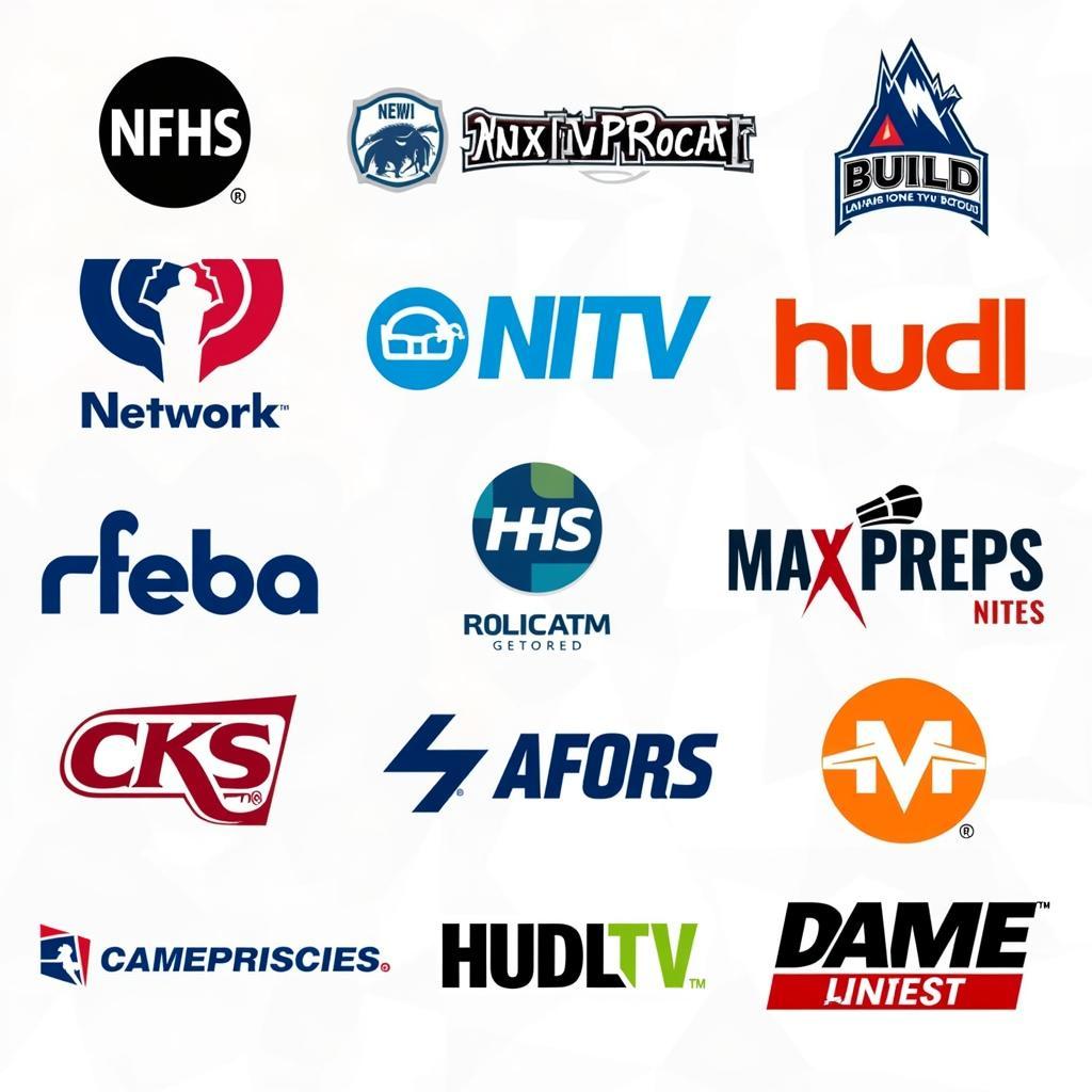 High School Sports Streaming Platforms