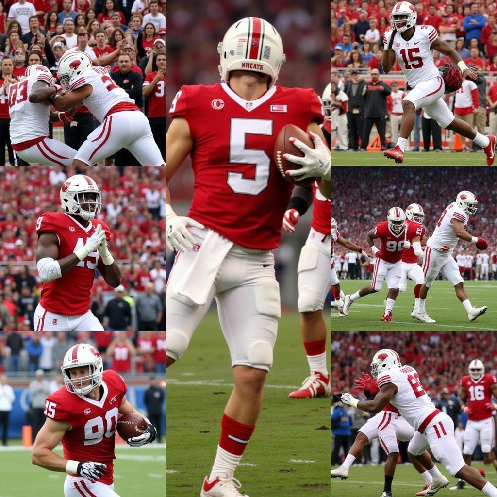 Highlights from a recent Badger football game