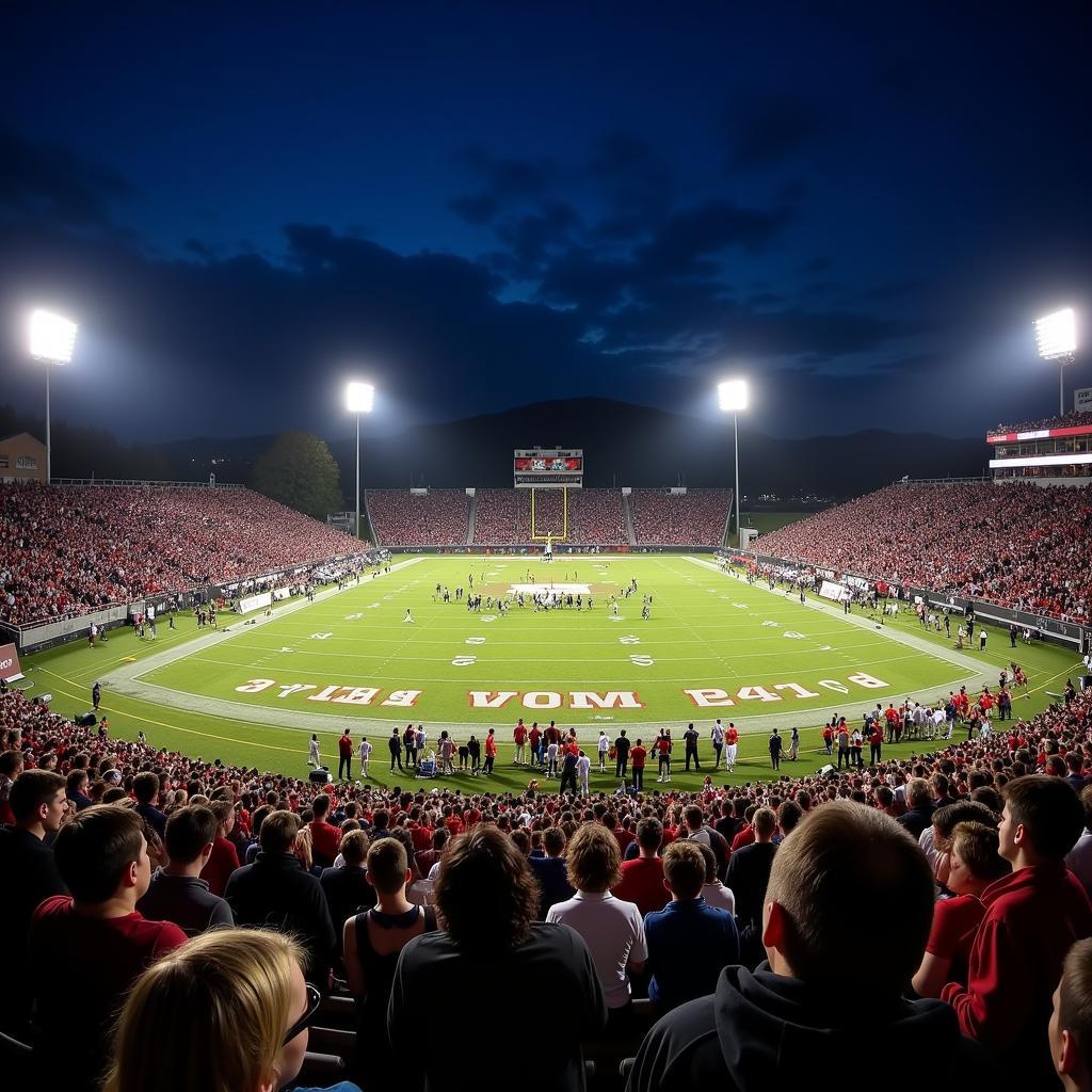 High school football game under the stadium lights