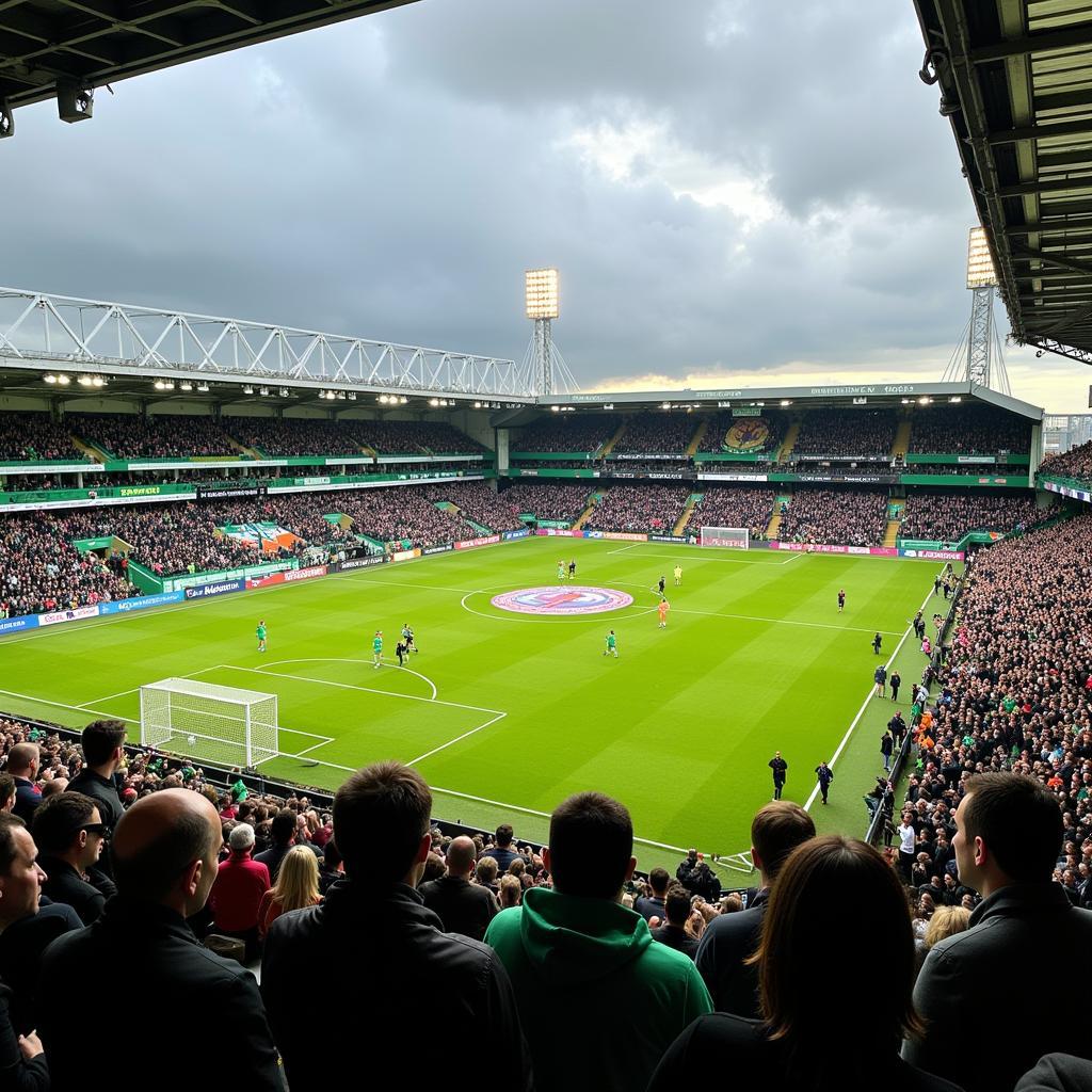 Irish League football match atmosphere