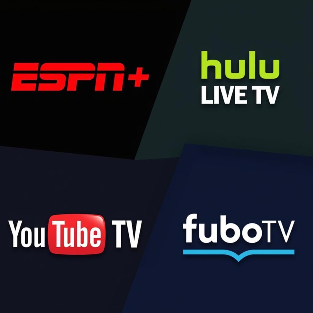 Live Streaming Platforms