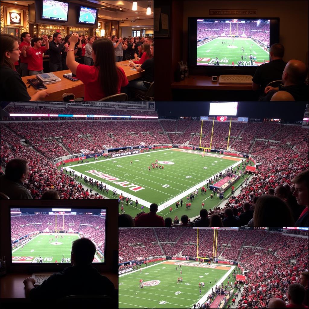 Benefits of Watching WSU Cougars Football Live