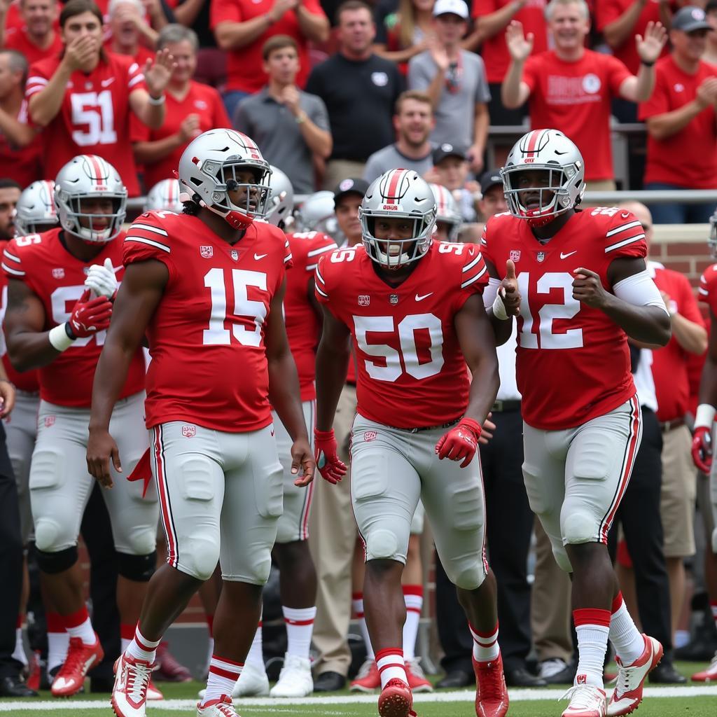 Ohio State Buckeyes Celebration