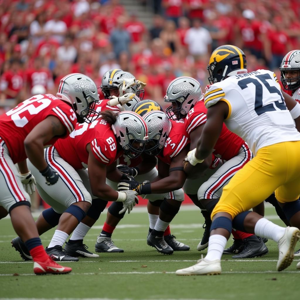 Ohio State Michigan Football Game