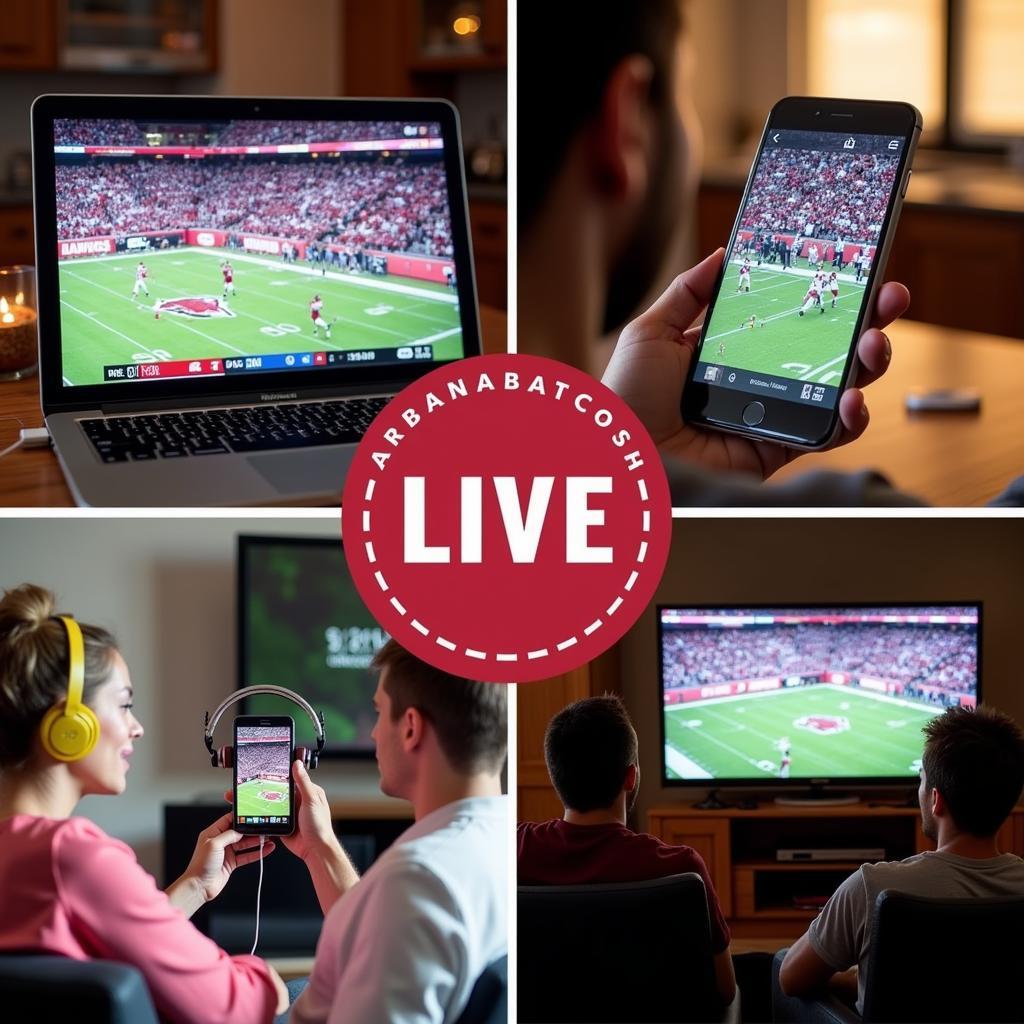 Arkansas Razorbacks Live Streaming Options