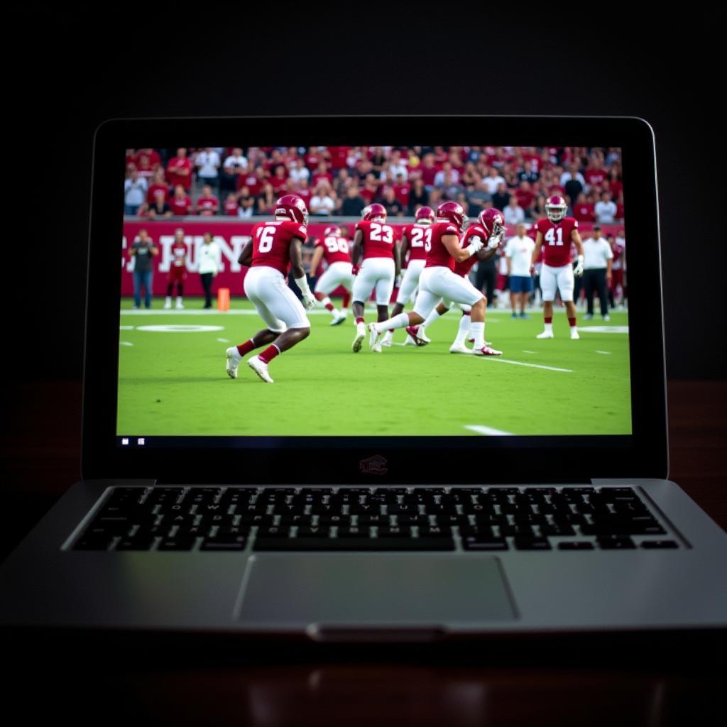 Watching South Carolina Football Live Stream on Laptop