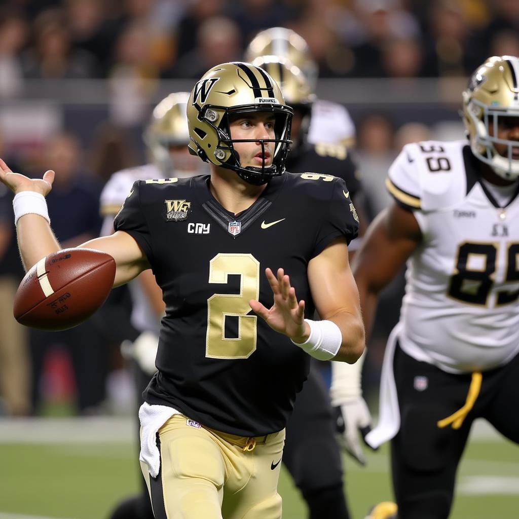 Wake Forest Demon Deacons football team