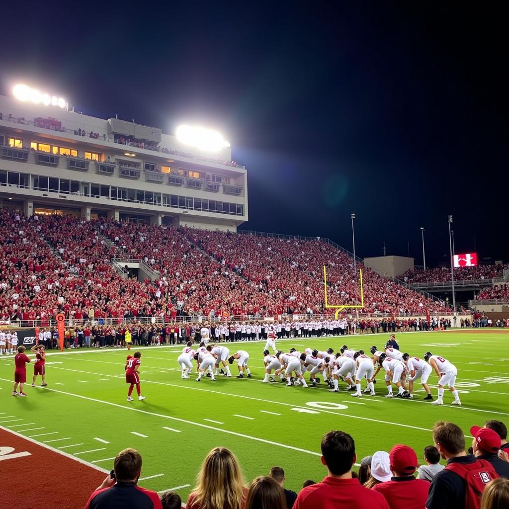 Alabama State Football Game Live Stadium Atmosphere