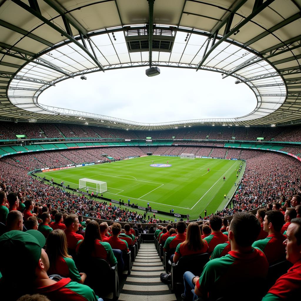 Croke Park Atmosphere During All-Ireland Final 2022