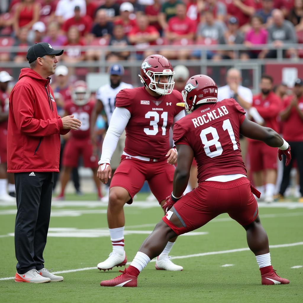 Arkansas Razorbacks football players practicing