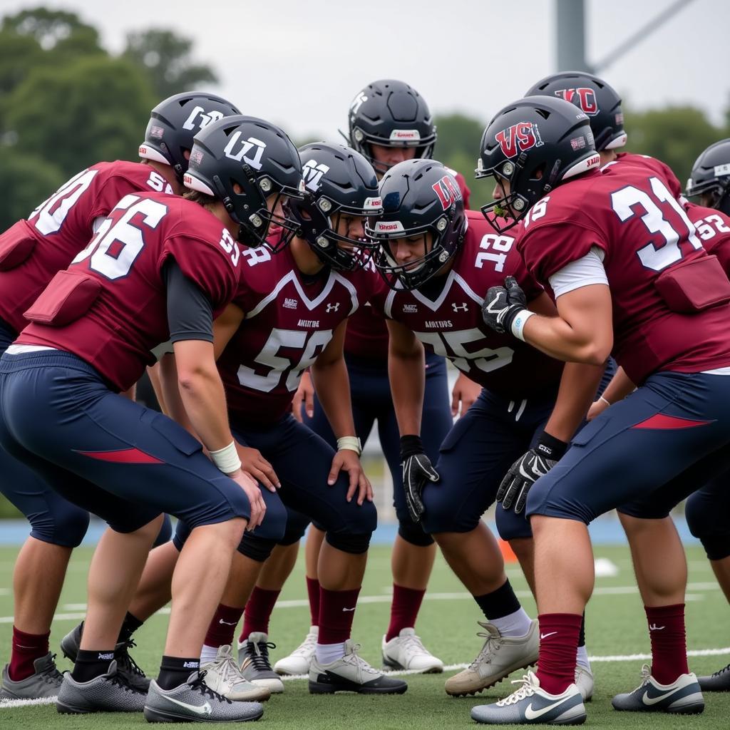 Antelope Valley College Football Team Huddle